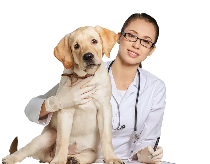 Clinica veterinários Araxá imgem de uma veterinária abraçada com um cão branco.
